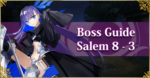 Salem Section 8-3 Boss Guide Banner